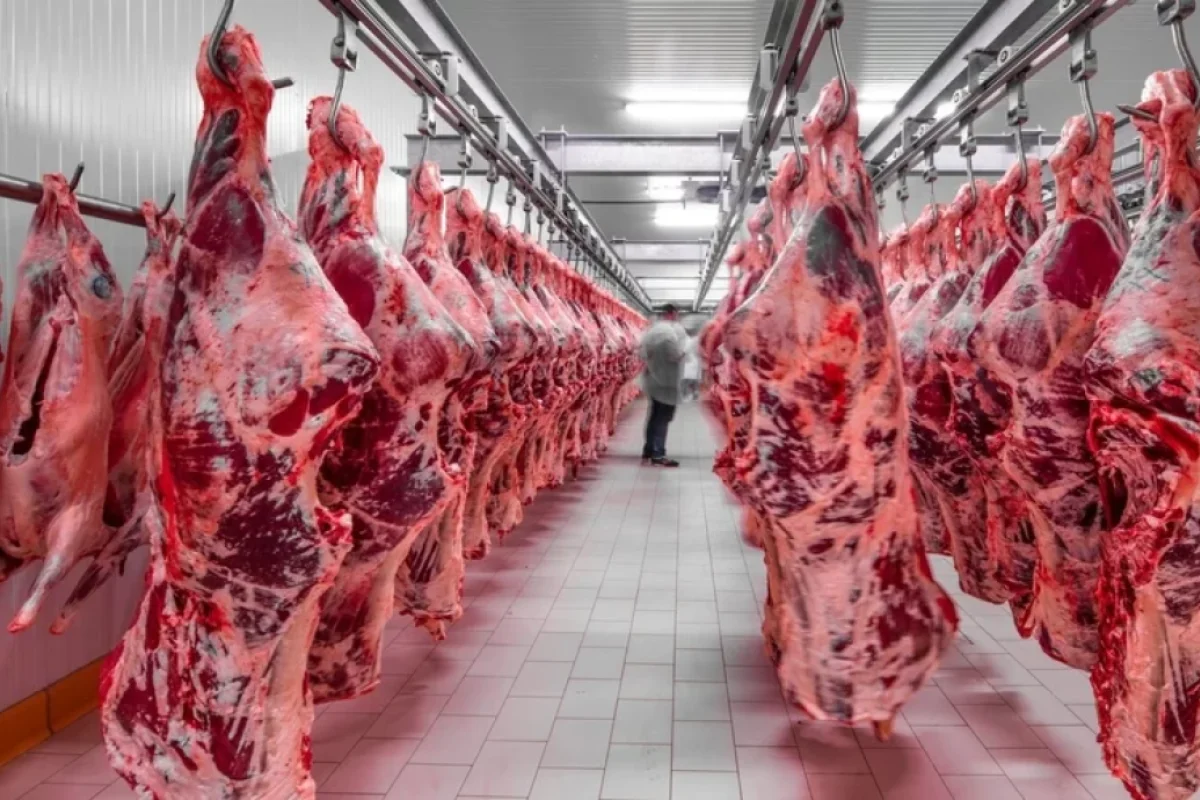 Bazarda tarazlıq POZULDU - – FOTO