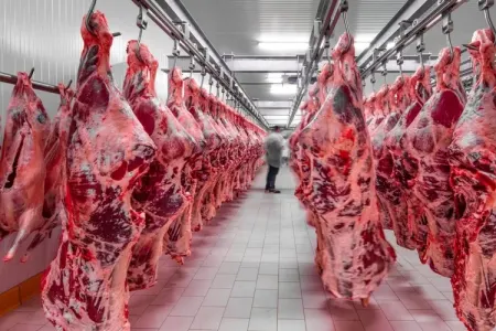 Bazarda tarazlıq POZULDU - – FOTO