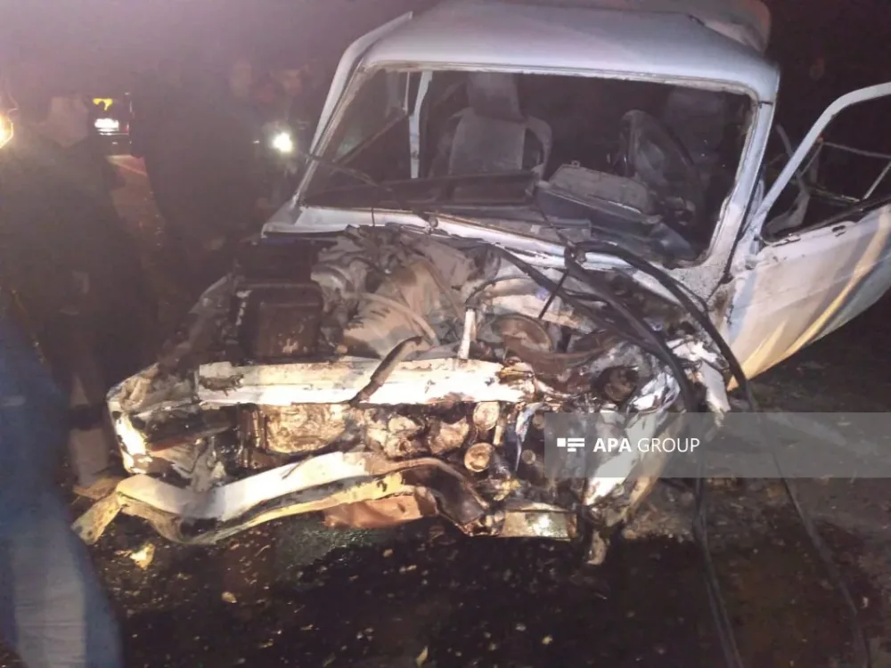 Azərbaycanda iki meşəbəyi öldü