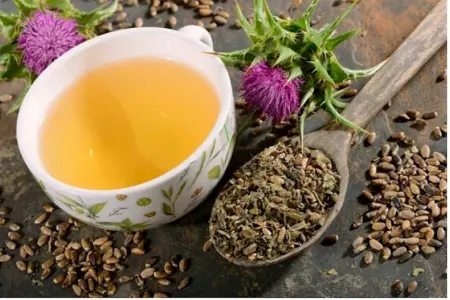 Gündə bir fincan alaqanqal çayı için - — FAYDALARI