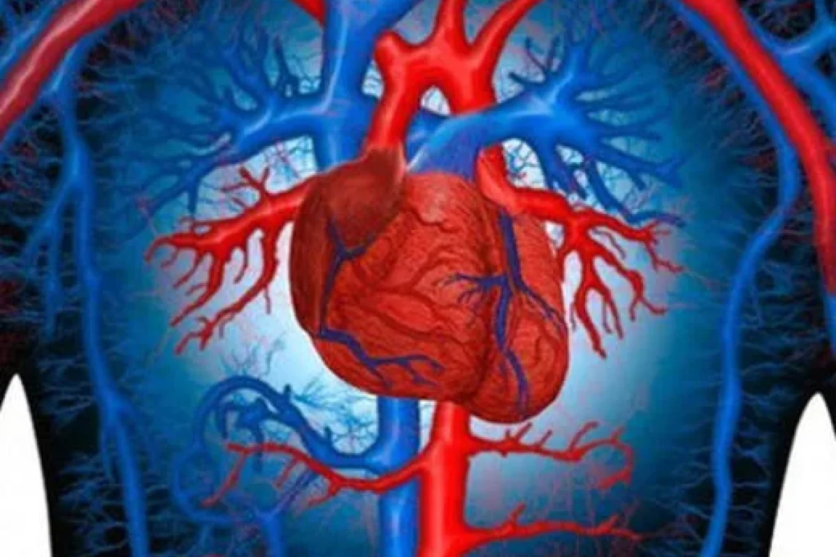 Bu tərəvəzin şirəsi ürək və damar xəstəlikləri riskini - KƏSKİN AZALDIR