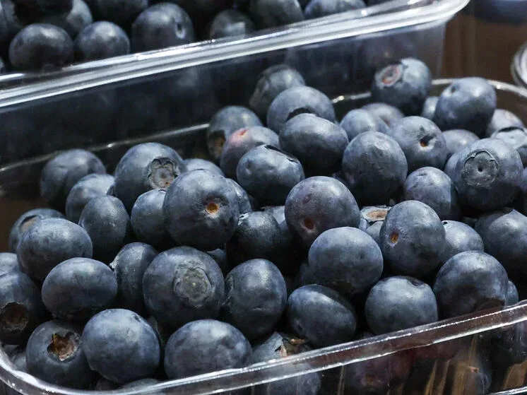 Qocalmaq istəməyənlər bu GİLƏMEYVƏDƏN YESİNLƏR - FOTO