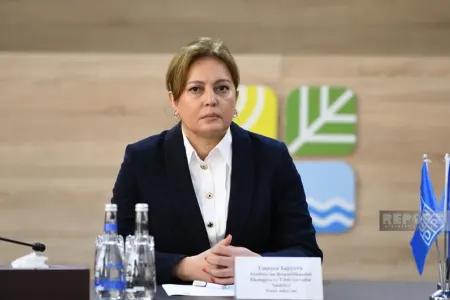 Nazir müavini havanın dəyişəcəyi ilə bağlı açıqlama - verdi