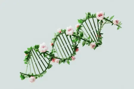 Genetik inqilab: Xərçənglə mübarizə üçün - "DNT qayçı" hazırlandı