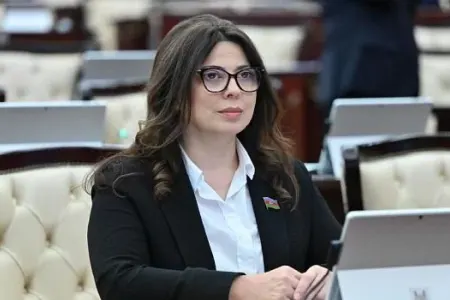 Bu xanım deputata yeni vəzifə verildi