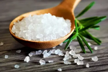 Adi duzun alternativini qəbul etmək milyonlarla insanın ömrünü uzada bilər