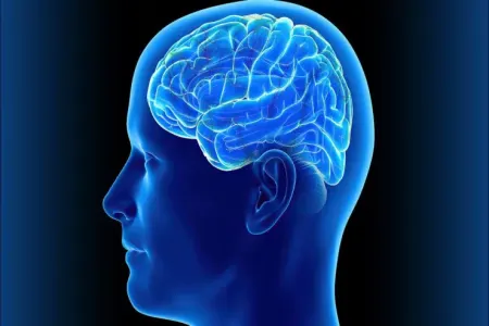 İnsan beynində aşkar edildi - ilk dəfə mikroplastik