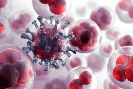 Xərçəng riskini azaltmaq üçün vacib tövsiyələr - SİYAHI