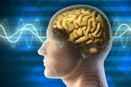 İnsan beynində mikroplastik aşkarlandı - İLK DƏFƏ