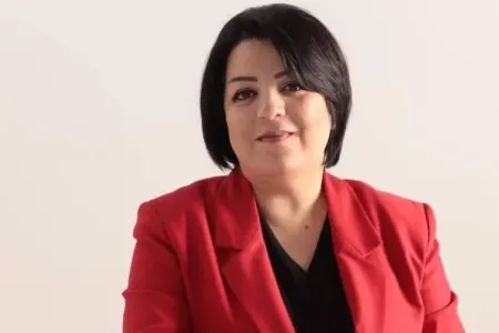 Jurnalist Şahnaz Bəylərqızı saxlanıldı