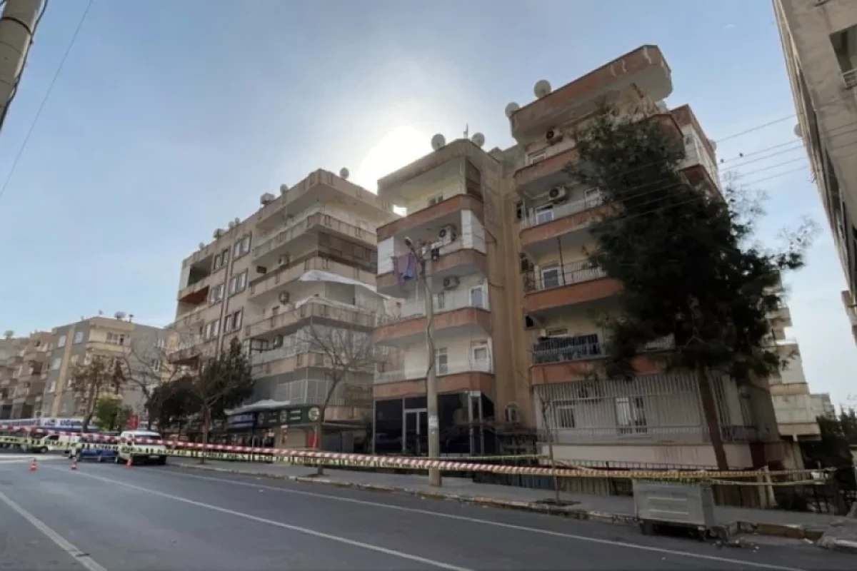 Binadan səslər - gəlir