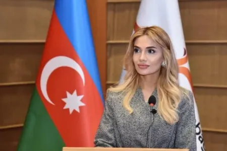 Pərvin Məmmədova yeni vəzifəyə təyin olundu