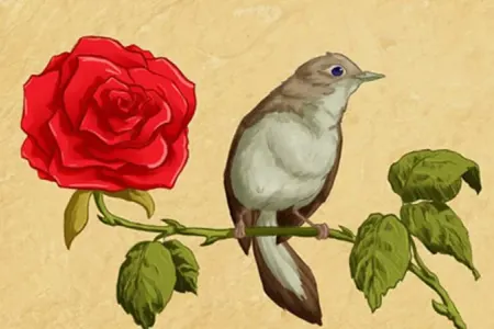 "Güldən-bülbüldən yazın" deyənlərə: - Luscinia megarhynchos