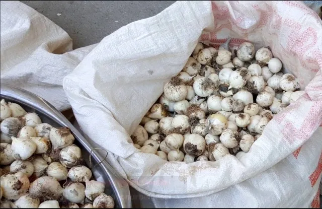 Buna görə minlərlə manat cərimə tətbiq ediləcək