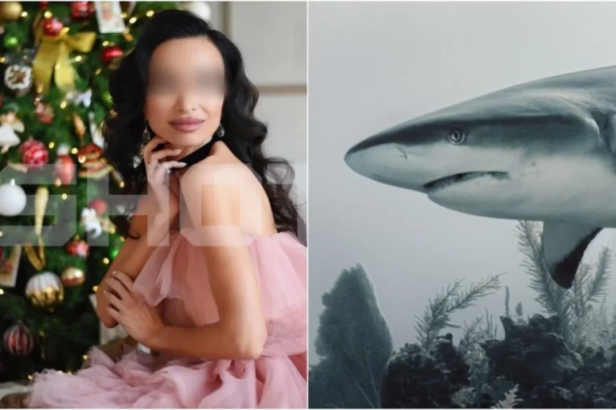 Turist köpək balığının hücumuna - MƏRUZ QALDI