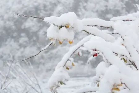 Hava soyuyanda niyə oynaqlarımız ağrıyır?