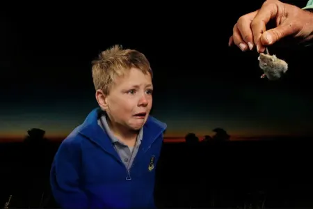 Yeni nevroloji tədqiqat qorxu reaksiyalarını idarə edən beyin bölgələrini - müəyyənləşdirib