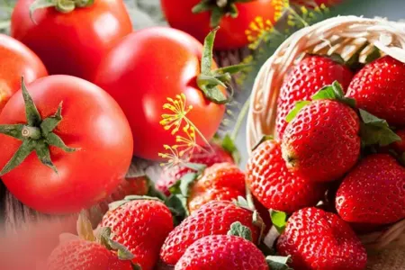 Xaricə gedənlər yoxlanılır, - bəs daxildə satılanlar?