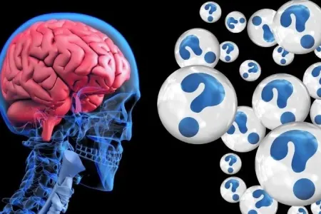 Beynimiz qorxuya necə - qalib gəlir?