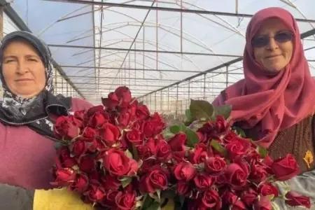 Sevgililər Günü üçün - XÜSUSİ MƏHSUL