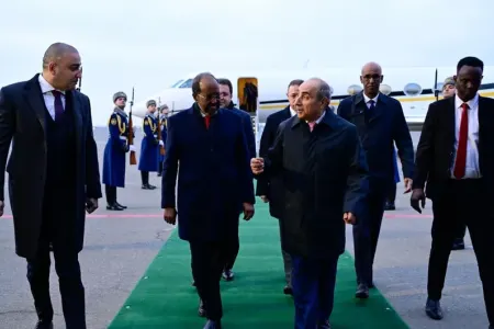 Somali - Prezidenti Azərbaycana rəsmi səfərə gəldi