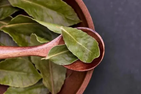 Dəfnə yarpağını yeməyə nə zaman əlavə etmək lazımdır?