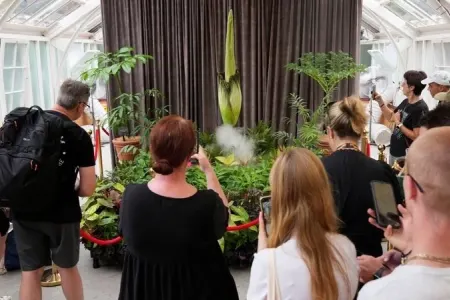 15 ildən sonra - İLK DƏFƏ...