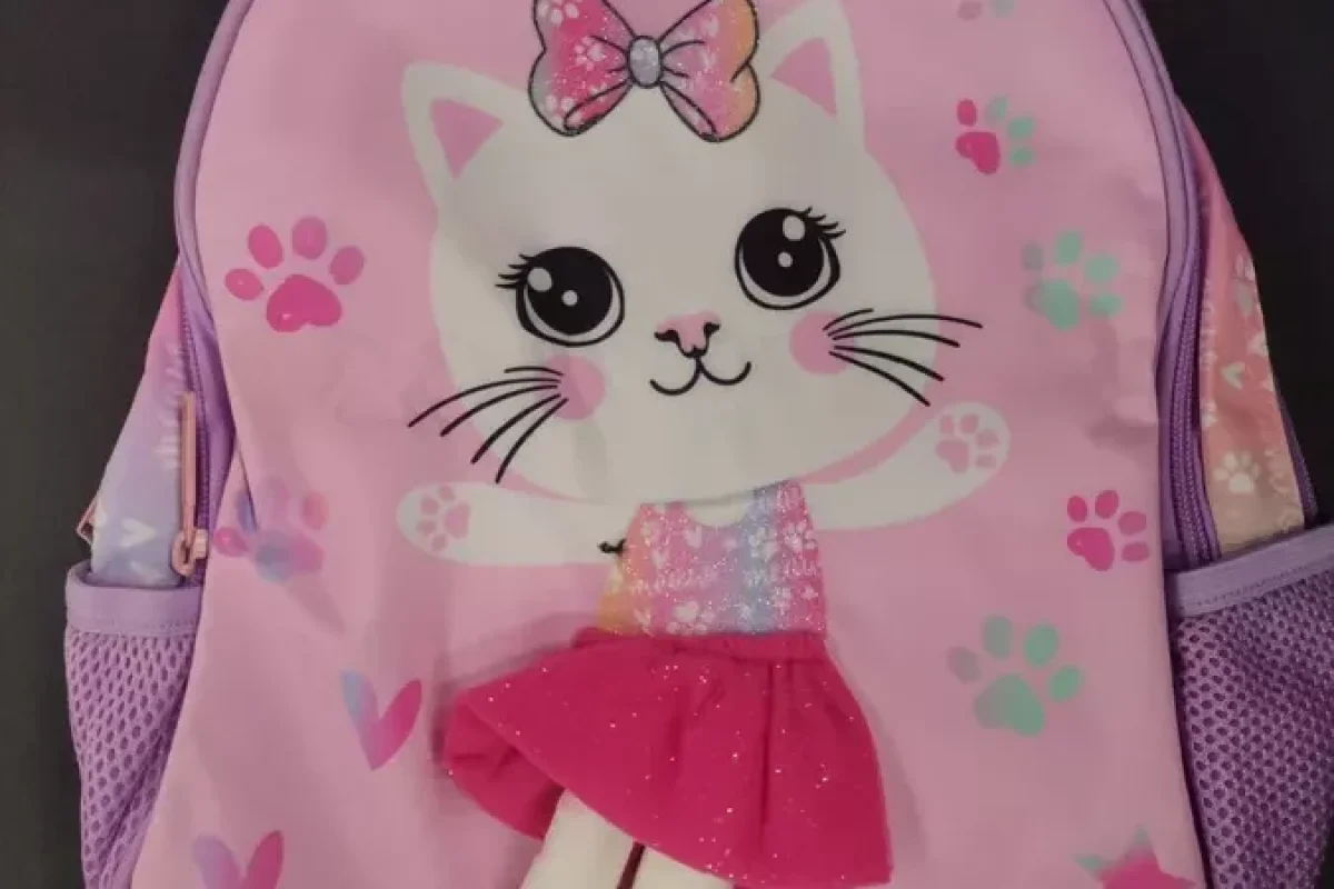 Bu məktəbli çantasının satışı - QADAĞAN EDİLDİ - Böyük təhlükə