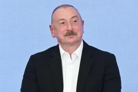Prezident yeni səfirlərin etimadnaməsini qəbul etdi - FOTO