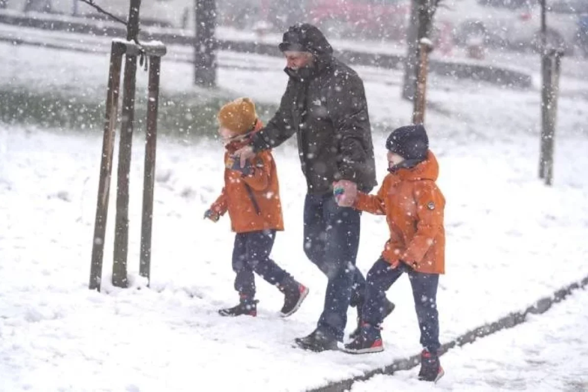 10 rayonda məktəblər - BAĞLANDI