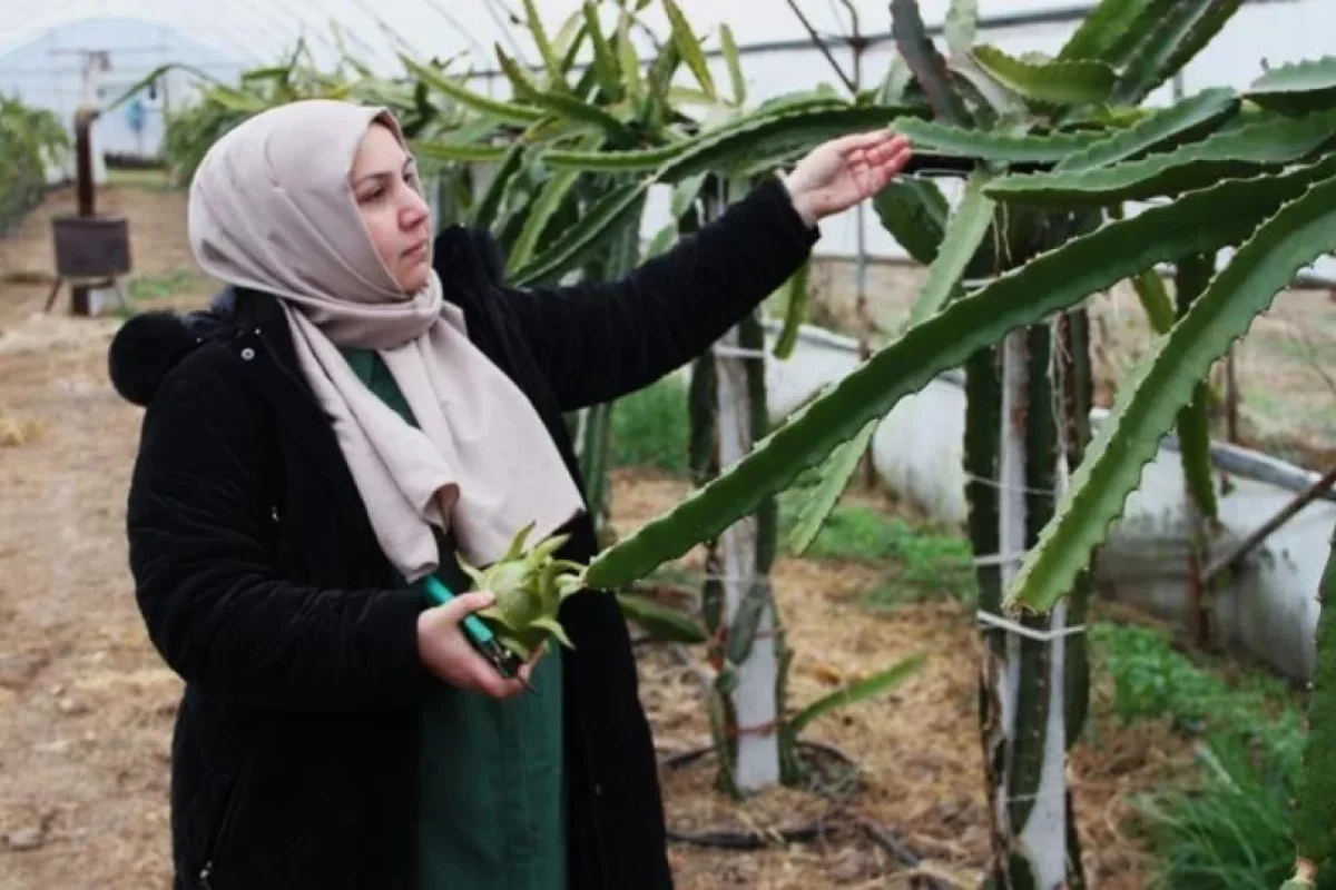 İlk dəfə bir - QADIN...