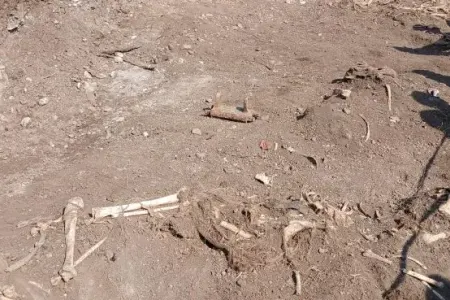 Ağdamda insan sümükləri aşkarlandı