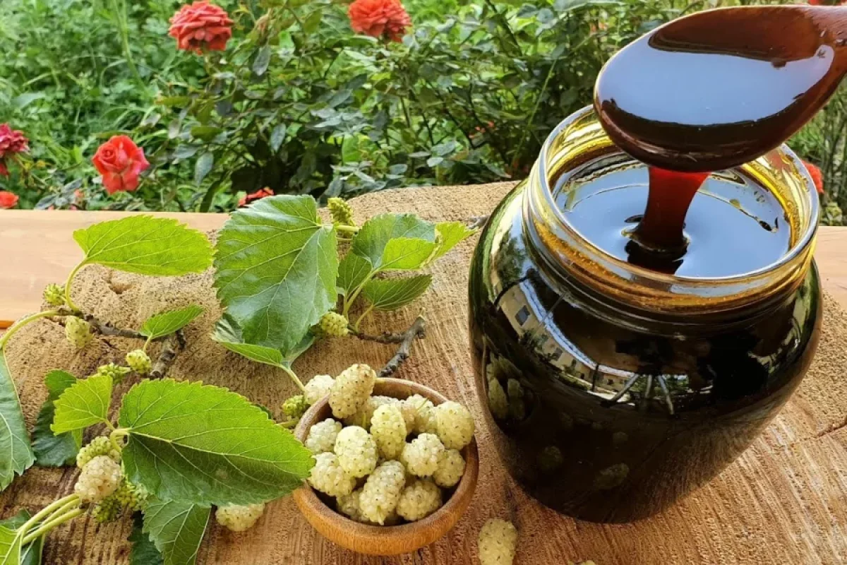 Bəkməzə yeni rəqib çıxdı - kalium ehtiyatınızı bir qaşıqla dolduracaq - möcüzə