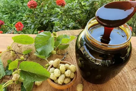 Bəkməzə yeni rəqib çıxdı - kalium ehtiyatınızı bir qaşıqla dolduracaq - möcüzə