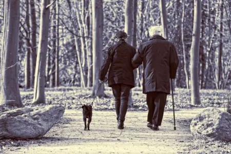 Yaşlılarda yıxılma riskinin proqnozlaşdırılması üçün sadə test - tövsiyə olunur