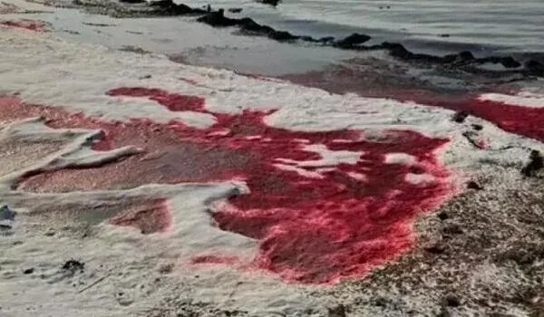 Xəzər al-qırmızıya boyandı – FOTO