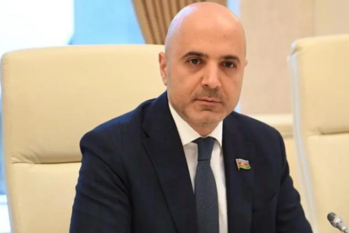 Bu sektor ölkəmizə valyuta axınını təmin edir - Deputat