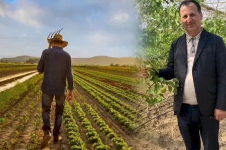 Ekspert nazirliyi ağ yuyub qara sərdi – - “Bu, çox gülüncdür”