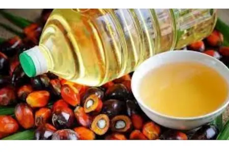 Palma yağı idxalı artıb: - Bu yağın xeyri varmı?