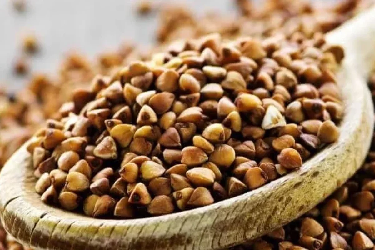 Qarabaşağın ziyanlı olduğunu - bilirdiz?