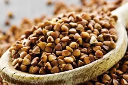 Qarabaşağın ziyanlı olduğunu - bilirdiz?