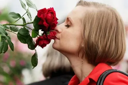 Qoxu hissi haqqında - 5 təəccüblü fakt