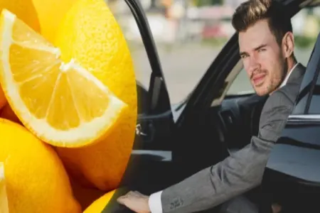 Təcrübəli sürücülər niyə uzun səfərdən əvvəl limon yeyir? - Enerji verir, yuxunu qaçırdır