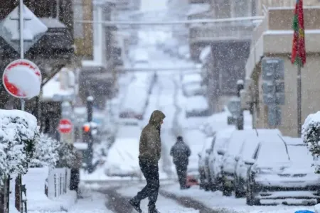 Qripdən qoruyan super qidalar – - QARLI GÜNLƏRDƏ NƏ YEYƏK?