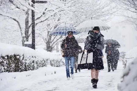 FHN-dən daha bir - Müraciət