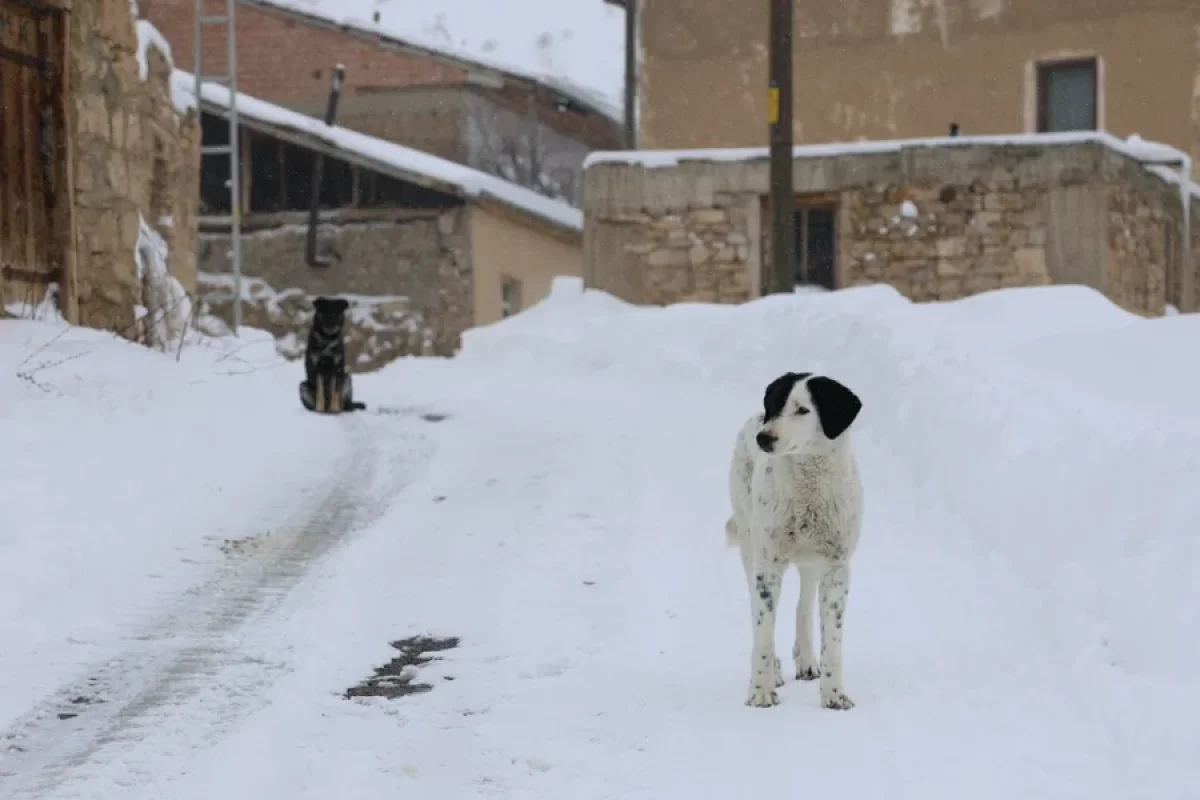 Qar bu qədər ailənin yolunu - BAĞLADI