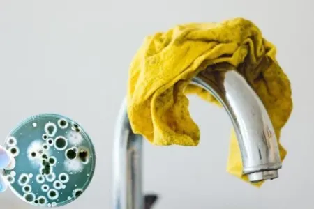 Mətbəxdə işlədilən bezlər təhlükə saçır - Nə etmək lazımdır?