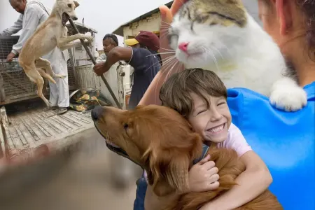 Heyvanlara qarşı aqressiyası olan - insanların problemi nədir?