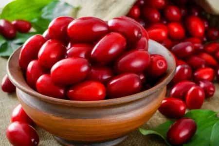 Zoğal bu infeksiyanın - qarşısını alır