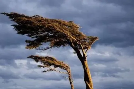 Küləkli hava ilə bağlı xəbərdarlıq edildi